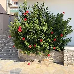 Elpida * Votsi (Alonnisos)