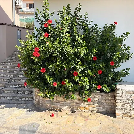 Elpida * Votsi (Alonnisos)